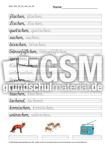 DSS_2S_Bu_chen_Nr_06.pdf